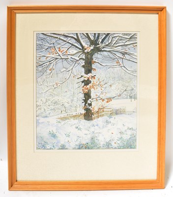 Lot 556 - SYLVIE WATTAS; watercolour, 'Oak Tree in...