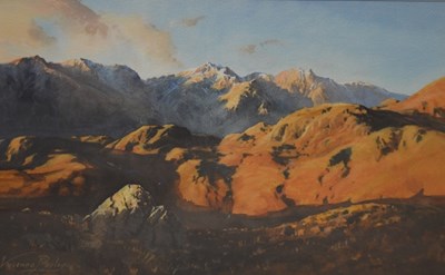 Lot 381 - VIVIENNE POOLEY (born 1944); watercolour,...