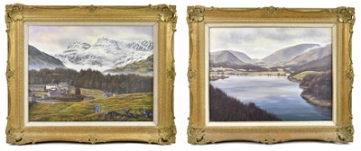 Lot 1573 - D. N. JOHNSON; two oils on canvas, one of lake...