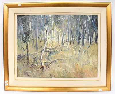 Lot 367 - PATRICK SHERVINGTON (Australian, born 1952);...