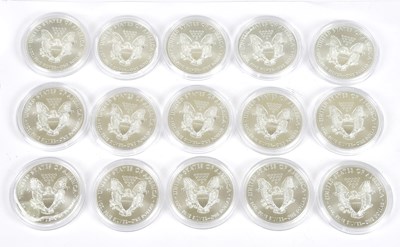 Lot 1437 - Fifteen encapsulated United States of America...