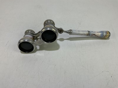 Lot 2006 - A 19th century pair of enamelled opera glasses,...