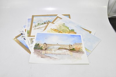 Lot 1603 - D.C. OWEN; a collection of watercolours,...