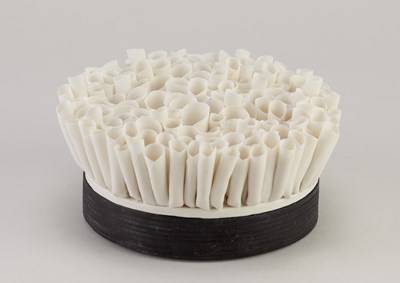 Lot 71 - VALERIA NASCIMENTO (born 1962); 'Coral', an...