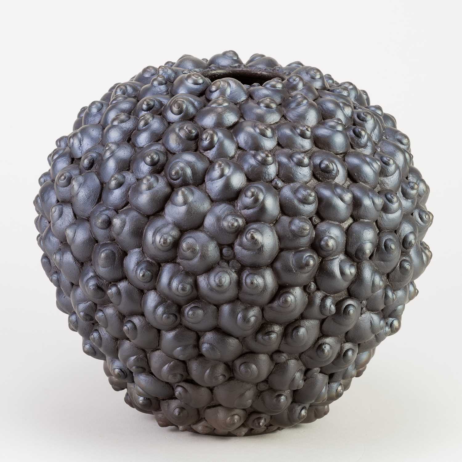 Lot 42 - SUE HANNA (born 1963); a burnished raku shell...