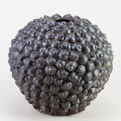Lot 42 - SUE HANNA (born 1963); a burnished raku shell...