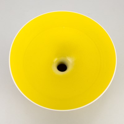 Lot 81 - ANNA SILVERTON (born 1959); 'Sunshine Yellow',...