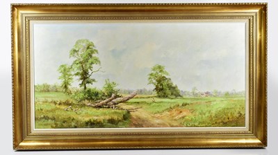Lot 245 - ALWYN CRAWSHAW (born 1934); oil on canvas...