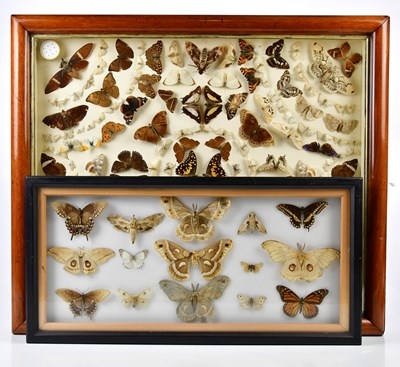 Lot 1501 - TAXIDERMY, cased butterflies and moths, 60cm x...