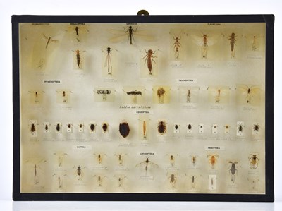 Lot 1460 - FLATTERS & GARNETT LTD; a cased pond life...