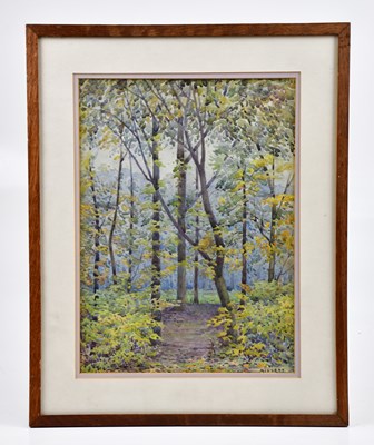 Lot 345 - MILLETT; watercolour, woodland landscape,...