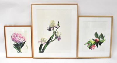 Lot 675 - SUSAN FOX (20th century); watercolour and...