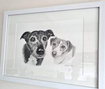 Lot 19 - A pencil study of your pet or pets from Work...