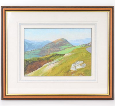 Lot 539 - IAN WILDGOOSE (Welsh, modern); oil on paper,...
