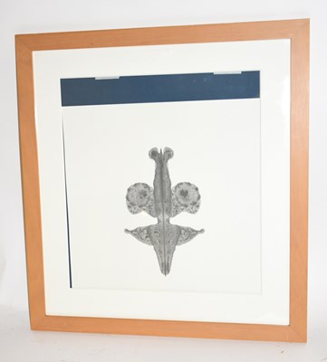 Lot 6308 - CORNELIA PARKER (born 1956); a signed limited...