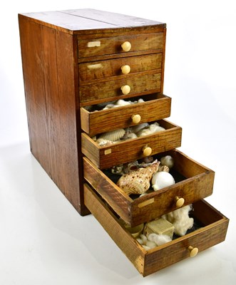 Lot 1430 - NATURAL HISTORY; an oak cased seven drawer...