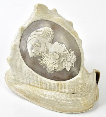 Lot 5072 - ATTRIBUTED TO CANOVA; a cowrie shell, carved...