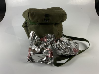 Lot 5139 - Two 20th century army respirators, in green...