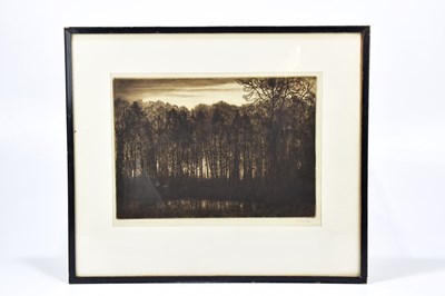 Lot 1456 - ALFRED R BLUNDELL; a signed etching, 'The Wood...