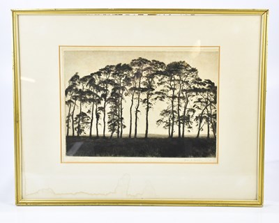 Lot 1459 - ALFRED F BLUNDELL; a signed etching, 'Sunset...