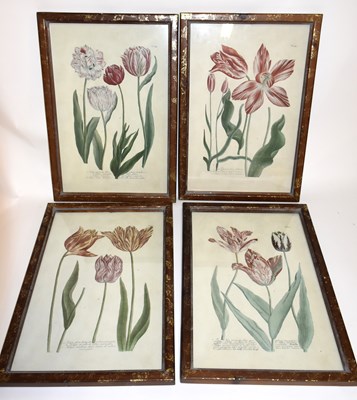 Lot 6068 - A set of four modern botanical prints, each 34...