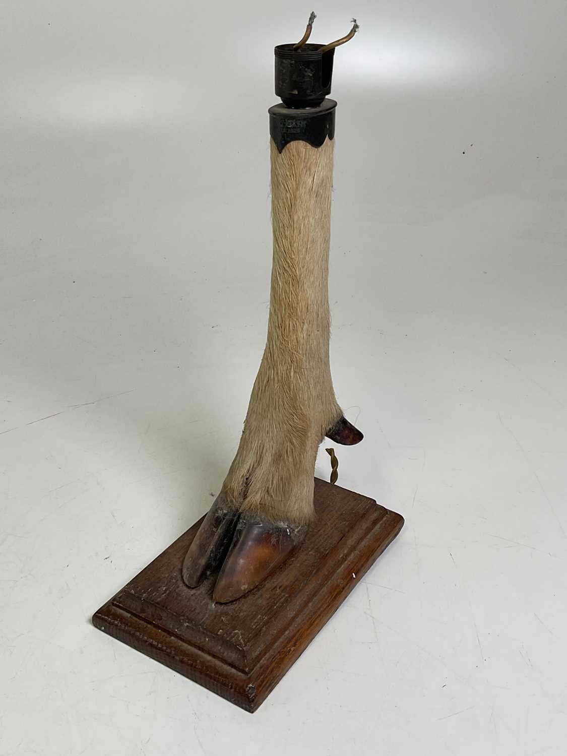 Lot 14 - A deer slot lampbase mounted on an oak base,...