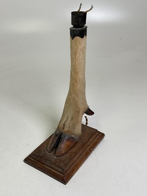 Lot 14 - A deer slot lampbase mounted on an oak base,...