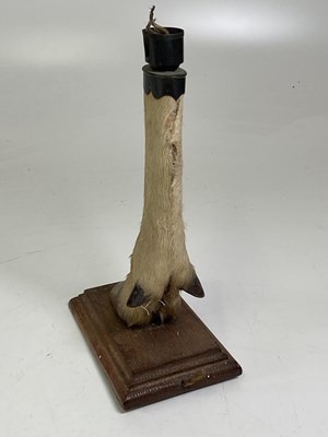 Lot 14 - A deer slot lampbase mounted on an oak base,...