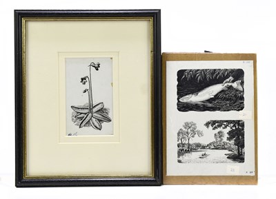 Lot 1010 - CHARLES FREDERICK TUNNICLIFFE; ink drawing,...