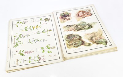 Lot 1528 - A collection of coloured prints relating to...