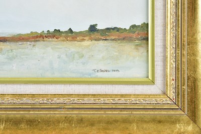 Lot 40 - TINA E STOKES; pair of oils on board, 'Topsham'...
