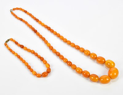Lot 362 - A butterscotch amber coloured beaded necklace,...