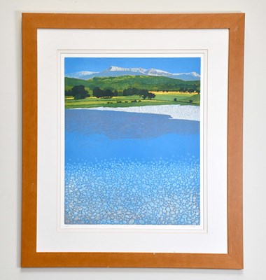 Lot 1684 - PHIL GREENWOOD; limited edition colour print,...