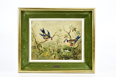 Lot 1791 - J GREGORY; oil on board, bluebirds beside nest,...