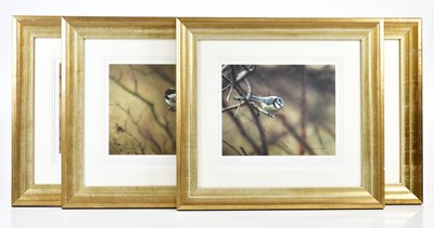 Lot 1687 - STEVEN TOWNSEND (Born 1955); four pencil...