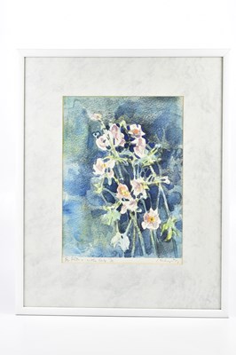 Lot 143 - HAROLD FRANCIS RILEY DL DLITT FRCS DFA ATC...