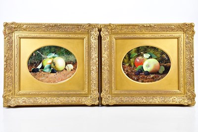 Lot 1780 - DEREK SHAPIRO; pair of oils on board, still...