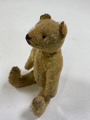 Lot 64 - A small vintage mohair Teddy bear with glass...