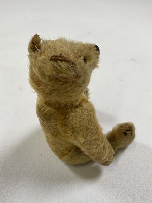 Lot 64 - A small vintage mohair Teddy bear with glass...
