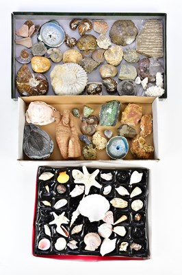 Lot 1251 - An extensive collection of stones, natural...