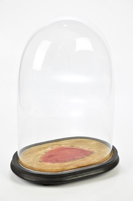 Lot 1299 - A Victorian oval glass dome on stand, height...