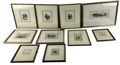 Lot 311 - A group of ten prints of birds including...