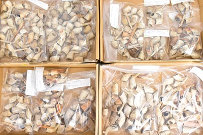 Lot 333 - CLAY PIPES; a single-owner collection of 18th...