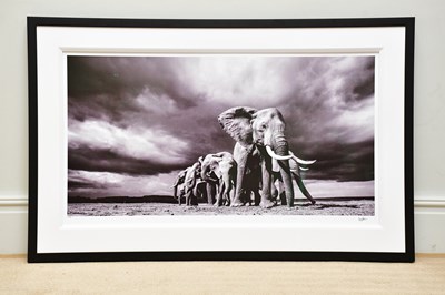 Lot 1707 - ANUP SHAH; a signed limited edition print,...