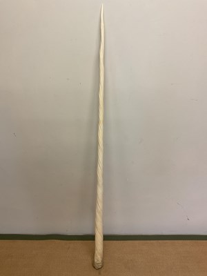 Lot 6 - A large narwhal (monodon monoceros) tusk of...