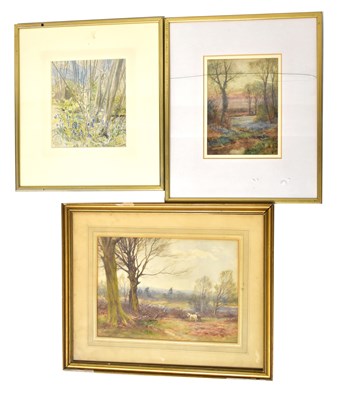 Lot 538 - Two watercolours of bluebell woods, attributed...