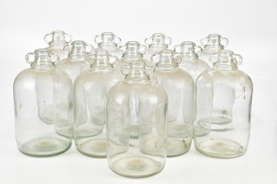 Lot 2551 - A collection of twelve demijohns, height 31cm.
