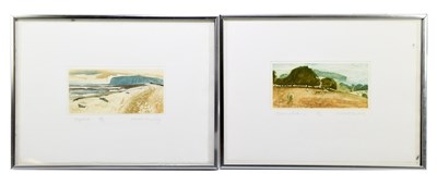 Lot 1139 - ROBERT GREENHALF; limited edition print,...