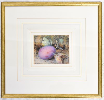 Lot 712 - WILLIAM B. CLOUGH (fl. 1857-1894); watercolour,...