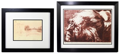Lot 1157 - HAROLD FRANCIS RILEY DL DLITT FRCS DFA ATC...